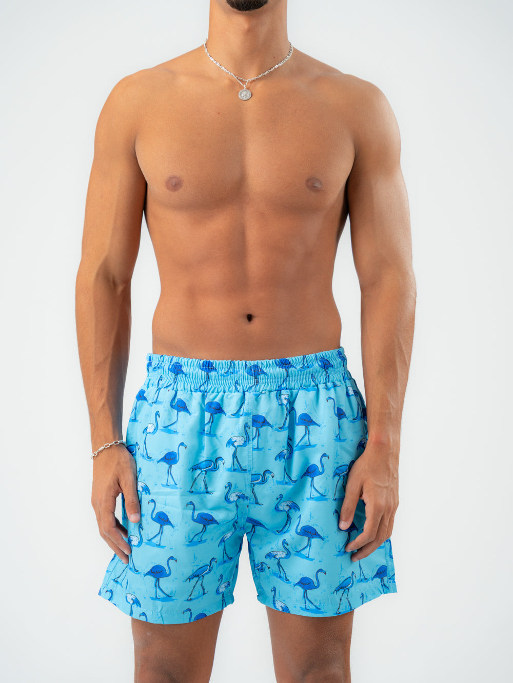 flamingo swim shorts