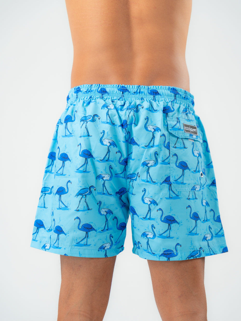 flamingo swim shorts