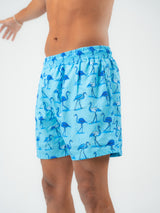 flamingo swim shorts