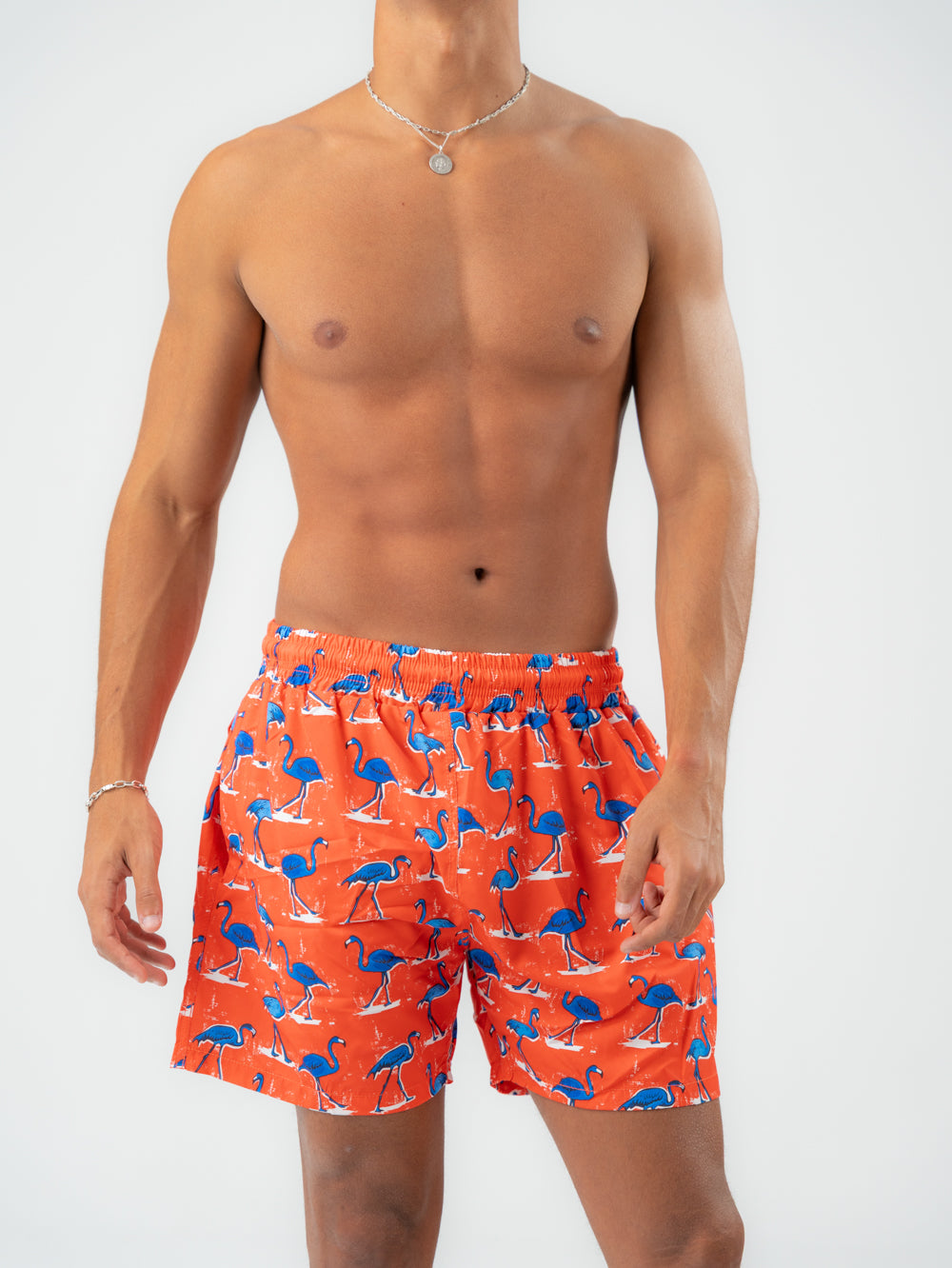 flamingo swim shorts