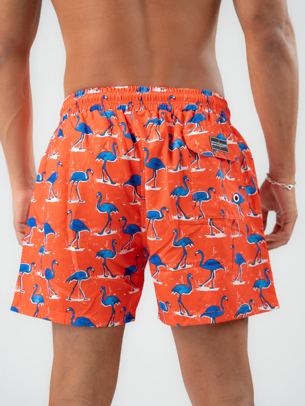 flamingo swim shorts