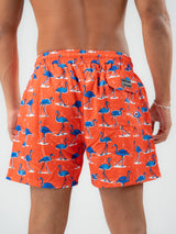 flamingo swim shorts