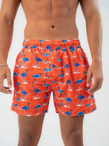 flamingo swim shorts